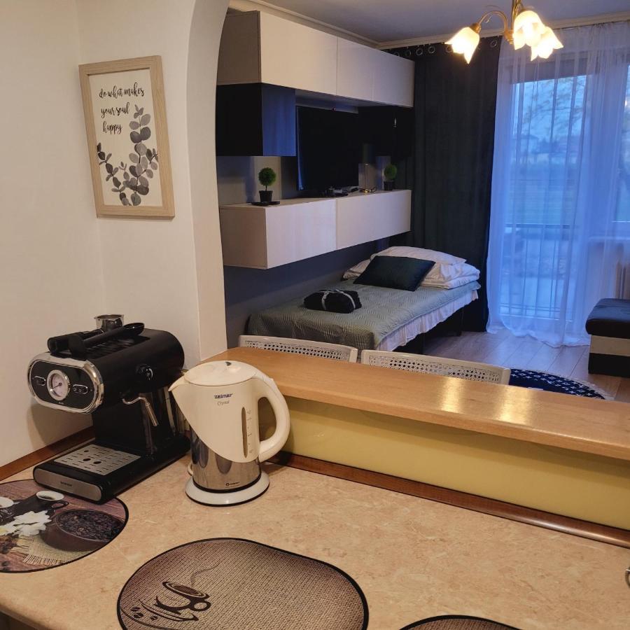 Apartament 22 Stycznia 3 Przemyśl Buitenkant foto